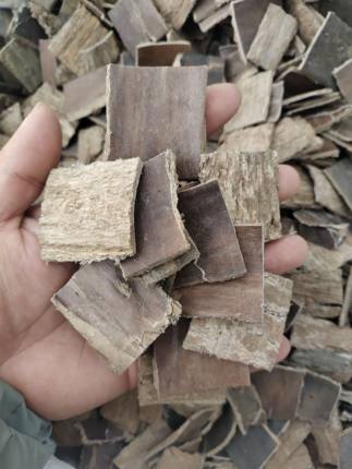 杜仲中药材杜仲皮精选大片正品杜仲皮各种规格可磨粉售炒杜仲