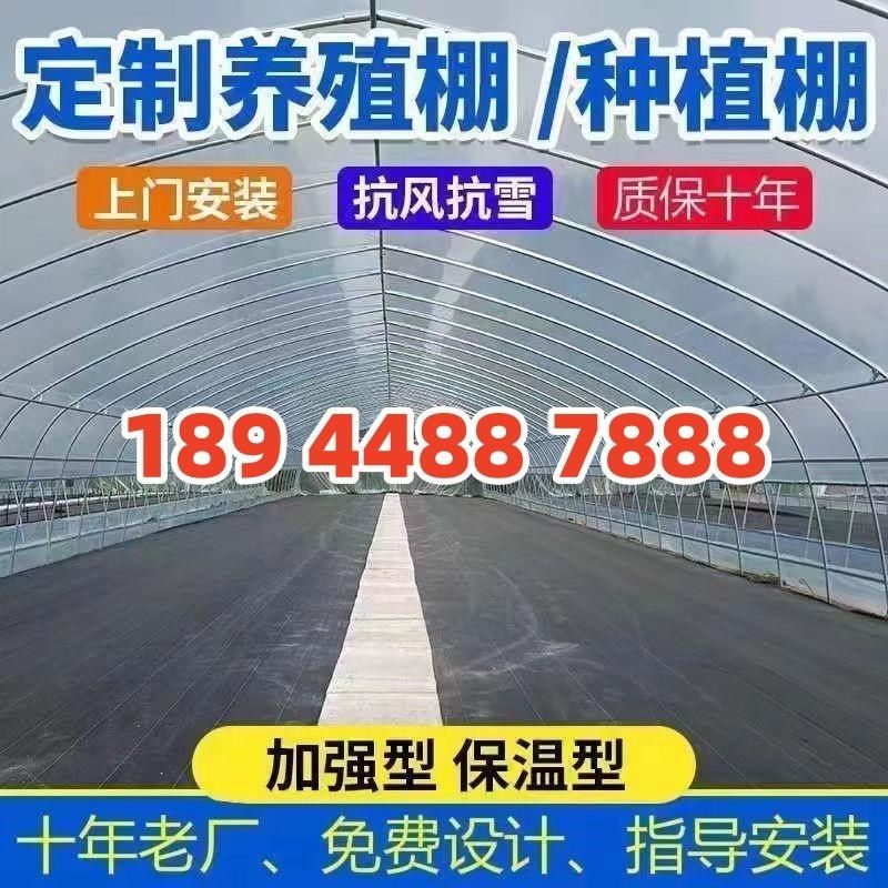 大棚骨架钢管牛棚猪圈羊圈鹅舍兔养殖棚椭圆管P温室蔬菜大棚连栋