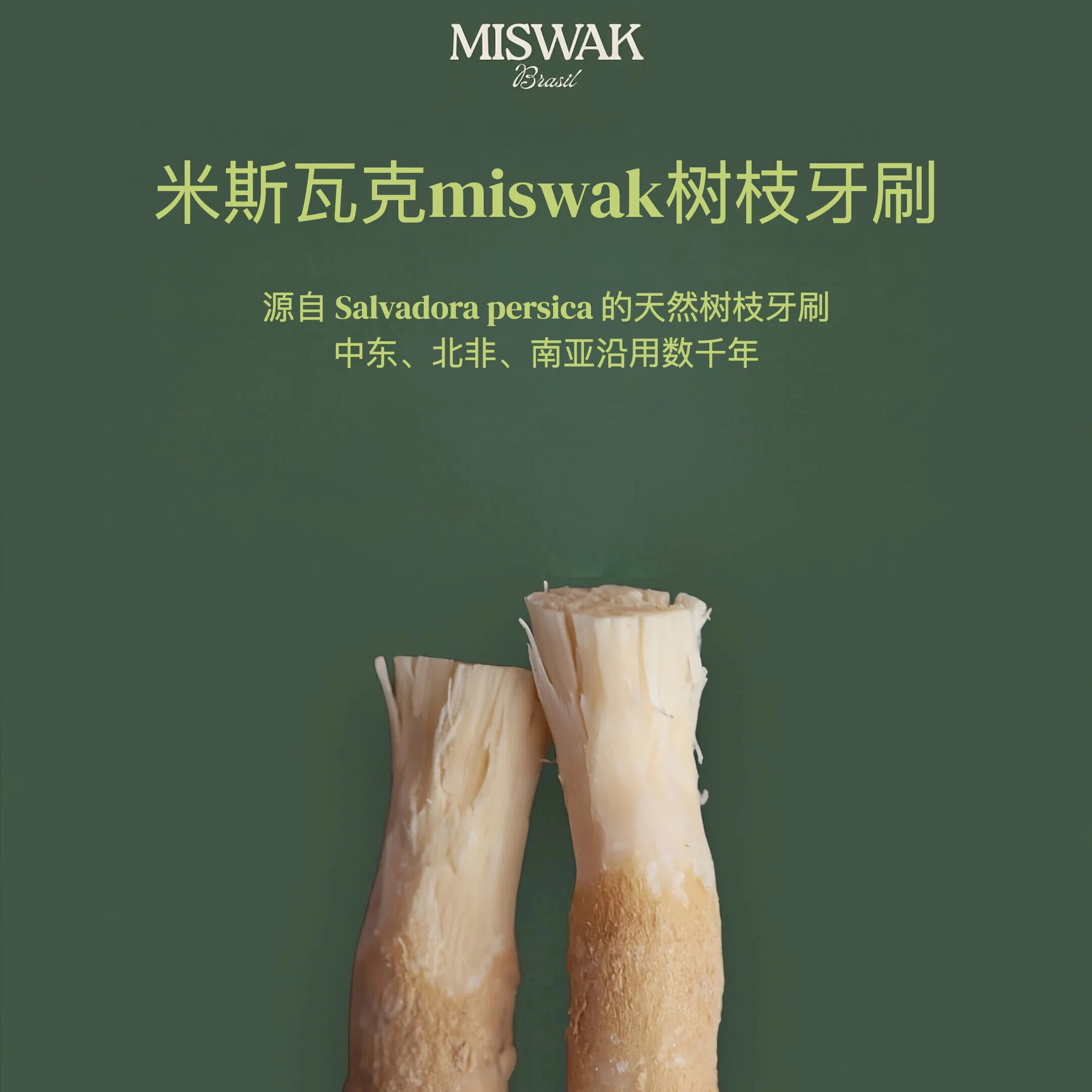 米斯瓦格miswak植物树枝纤维牙刷古法清洁口腔清新洁净牙齿