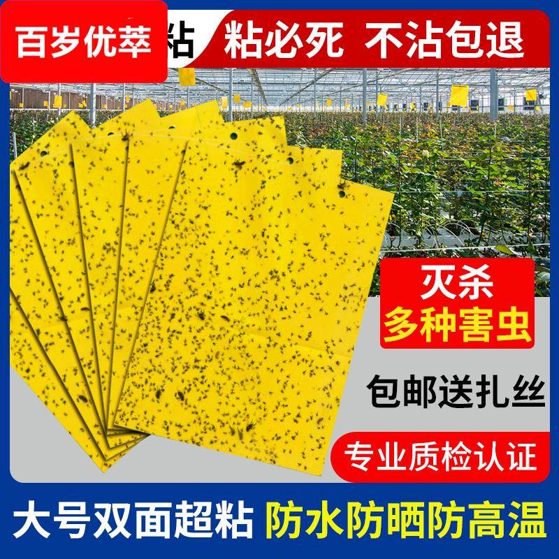 ￥黄板双面粘虫板诱虫板蚊虫贴纸灭小飞虫果蝇诱捕器果园大棚粘蝇