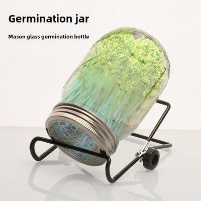 芽菜发芽罐 梅森玻璃发芽瓶 豆芽菜种植播种Sprouting Jar Kits