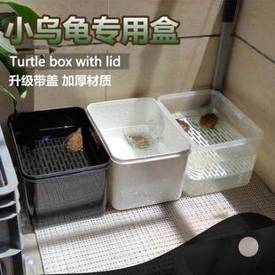 养小乌龟专用缸塑料带盖防逃逸龟苗隔离盒饲养小型乌龟的发色盒子