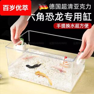 德国六角恐龙专用缸蝾螈饲养缸生态躲避屋塑料亚克力鱼缸一体成型