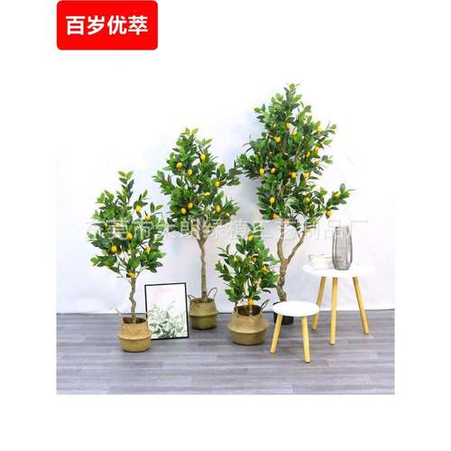 彷真柠檬树盆栽橘子彷真绿植果树枝客厅装饰落地摆件彷真植物