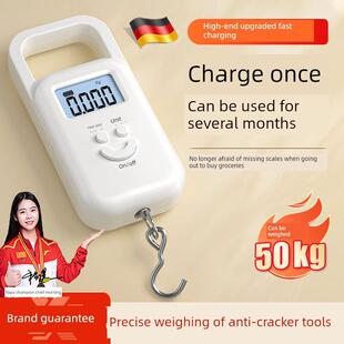 2025新款便携式手提电子秤精准家用小型高精度商用称重弹簧称鱼器