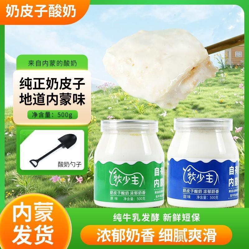 牧少主经典单层奶皮子酸奶老酸奶内蒙古牧场低温发酵500g/瓶