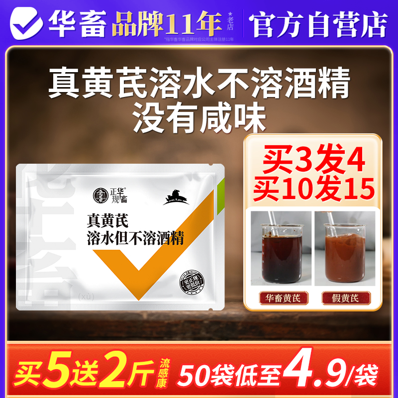 华畜真黄芪粉兽用猪牛羊鸡鸭鹅鸽