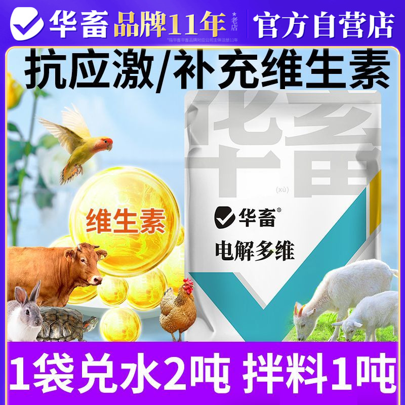 华畜电解多维兽用鸡鸭