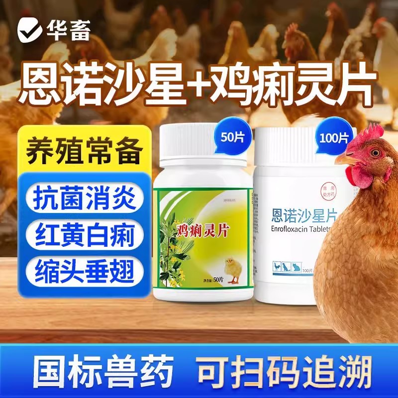 华畜鸡拉稀拉肚子黄白痢套餐