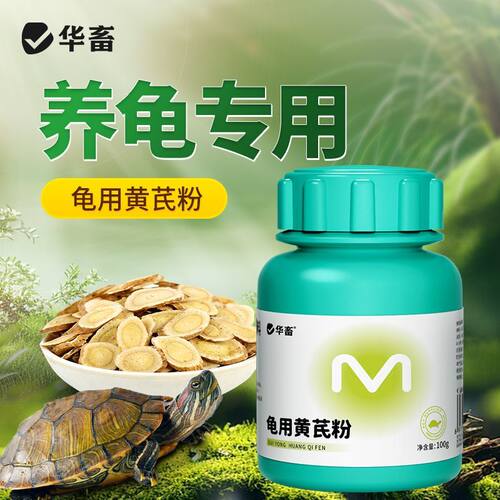 华畜乌龟用黄芪粉电解多维电解质