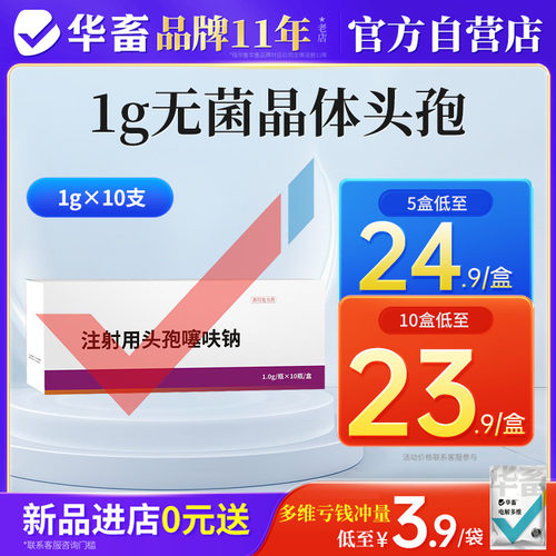 华畜1g头孢噻呋钠注射兽用消炎药