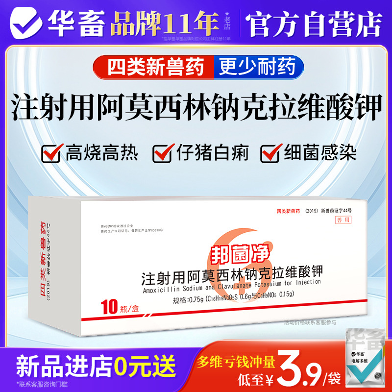华畜阿莫西林克拉维酸钾兽用注射用针剂母猪产后消炎仔猪拉稀发烧