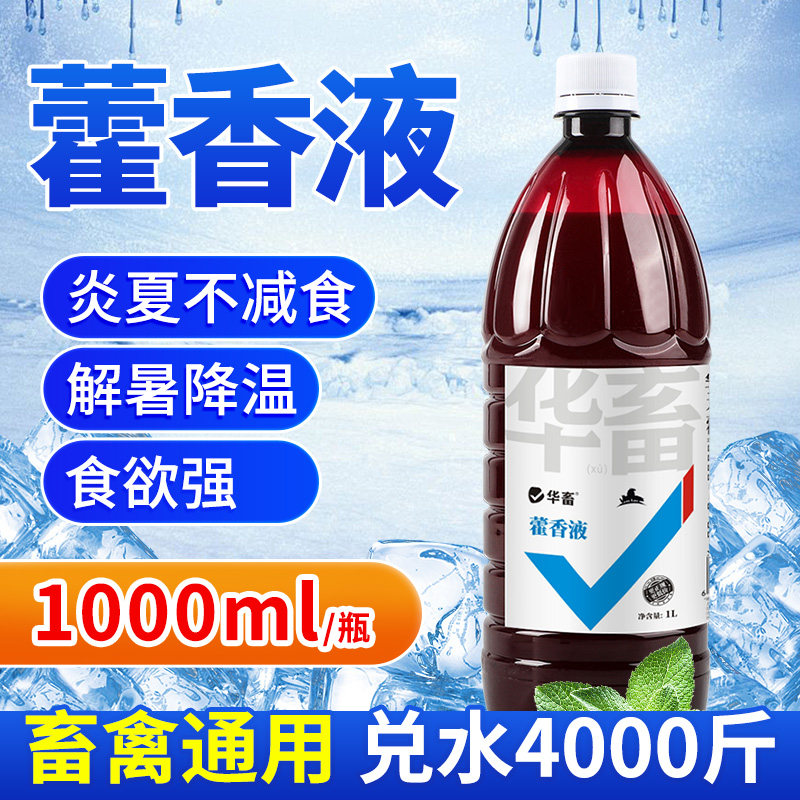 华畜藿香水兽用解暑降温口服液猪牛羊鸡鸭家禽用防中暑藿香液大瓶