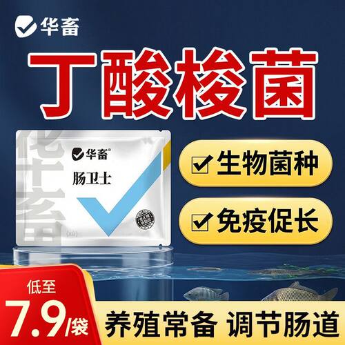 华畜肠卫士丁酸梭菌水产养殖专用
