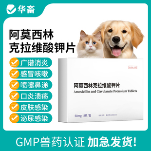 华畜狗狗猫咪感冒药打喷嚏流鼻涕专用消炎药阿莫西林克拉维酸钾片