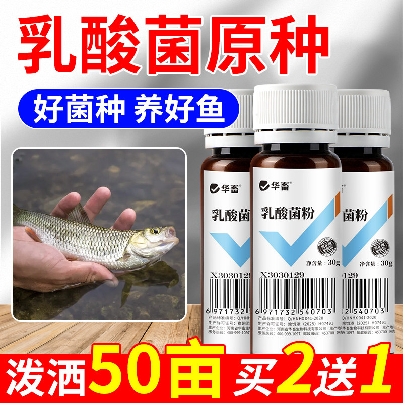 华畜乳酸菌水产养殖专用浓缩菌种鱼虾蟹池塘肥水净水降pH值发酵粉,畜牧/养殖物资,水质调节剂,淘宝优惠券,粉丝福利购,淘宝优惠卷