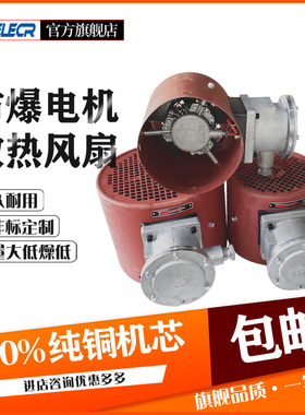 防爆变频电机风机风扇BZF90 100 112 BG132 H160 180 225 280 315