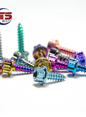TS钛合金螺丝自攻铁板牙Mo4/M5X15/20/25/30/35mm摩托车改装TC4