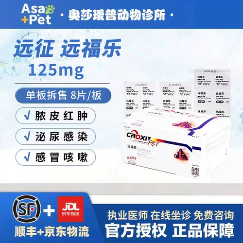 远征远福乐头孢羟氨苄宠物消炎药