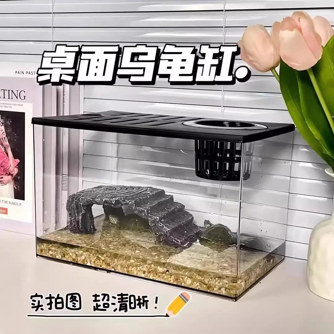乌龟饲养缸生态鱼缸小型客厅2024新款养乌龟专用缸家用亚克力龟缸