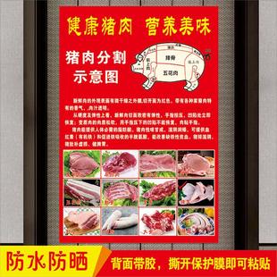 摆摊车广告贴纸猪肉分割示意图生猪部位图解生鲜超市促销宣传海报
