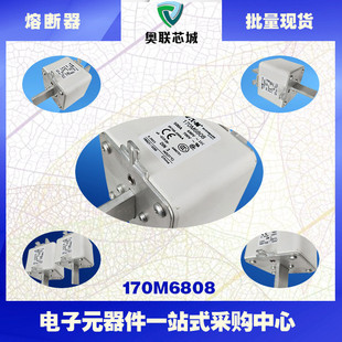 170M6808 170M6811美國巴斯曼熔斷器 170M6810 170M6809