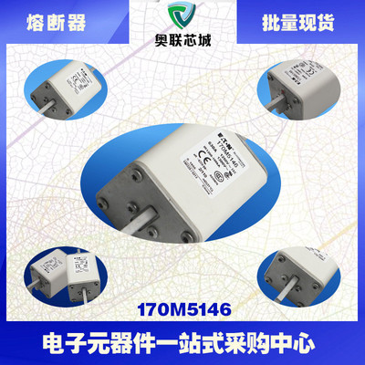 170M5146 170M5147 170M5148 170M5149 170M5150熔断器