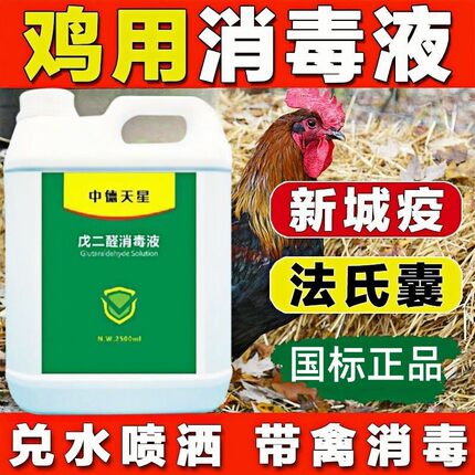 鸡场专用消毒液鸡舍消毒液兽用消毒液鸡舍专用养殖场消毒杀菌厂家