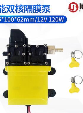 速卖通ebay货源12V120W8L大流量智能双核隔膜泵带铜接头