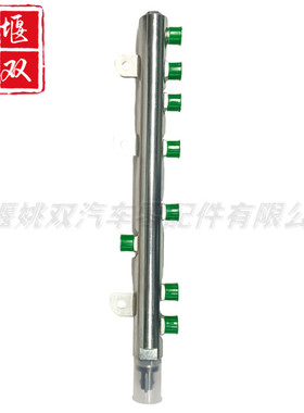 0445226064适用发动机配件燃油高压喷油共轨管总成J5600-1111A00