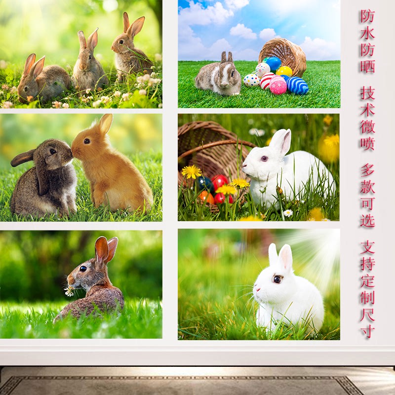 白兔兔子装饰动物生肖海报无框贴画走廊客厅招财玄关墙上挂画定制图片