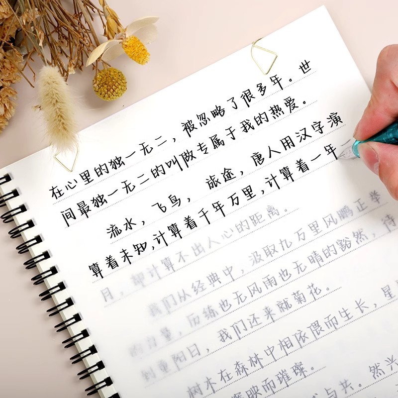 玫瑰体音乐热评经典语录满分作文练字帖行楷书钢笔漂亮女生字体临
