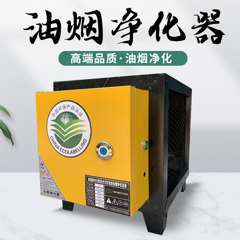 厨房饭店油烟净化器4000风量商用餐饮食堂烧烤酒店小型油烟过滤器
