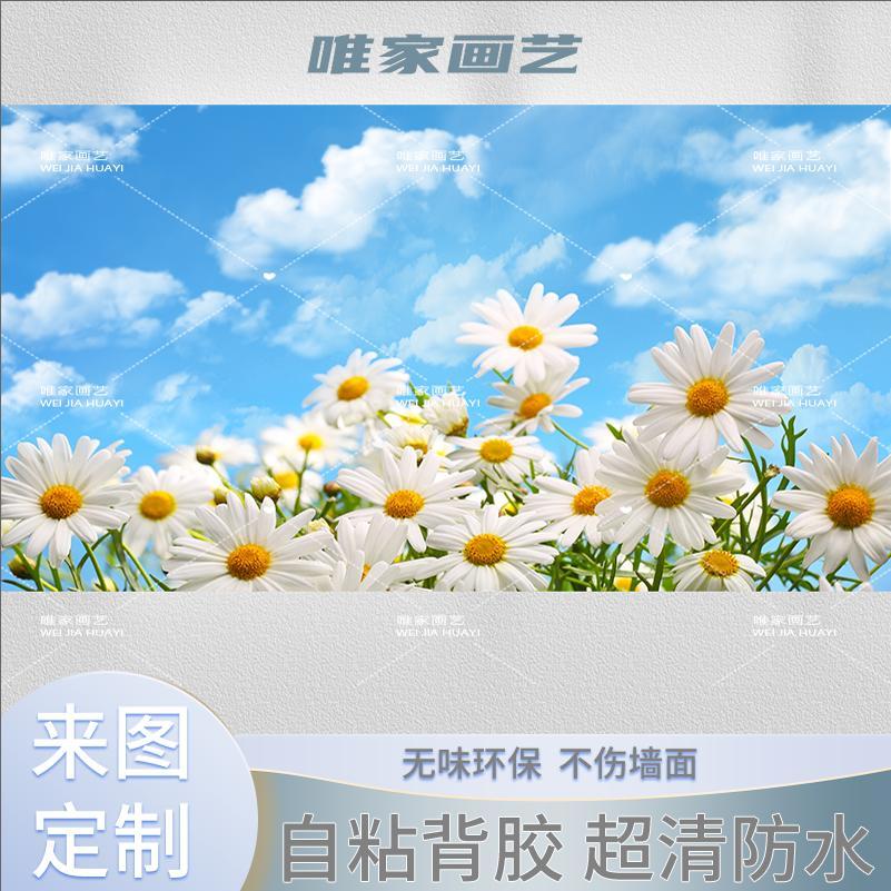 唯美雏菊樱花向日葵蓝天白云太阳花卉草地田园画自然风景海报墙贴