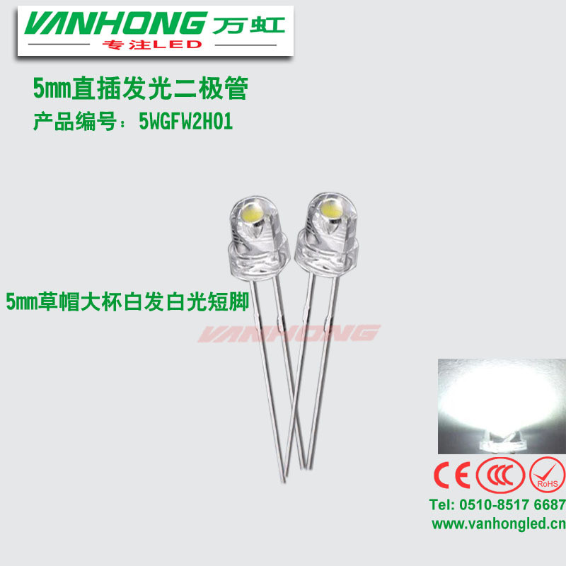 5mm草帽大杯白光 高亮 草帽led灯珠 草帽led大灯芯 白灯 正白冷白