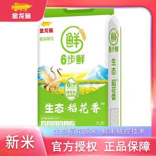 新货金龙鱼大米5kg公斤6六步鲜生态稻花香米当季新米真空包小袋锁
