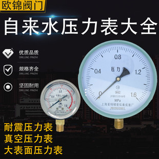 含油耐震压力表YN60/100防锈铜螺纹水压气压液压大表面温压一体表