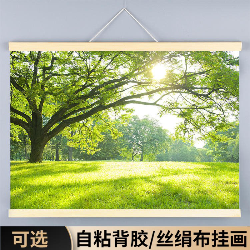 树林风景画森林装饰挂画绿色护眼自粘背景墙贴草地大自然田园风光图片