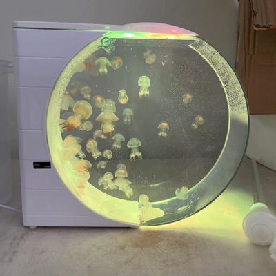二代专业缸水母水母循环缸灯光展示缸水族养殖缸水族生态鱼缸生日