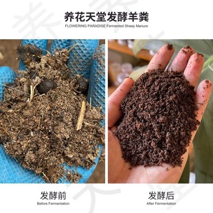 發(fā)酵羊糞堆肥高溫腐熟滅菌殺蟲(chóng)無(wú)異味養(yǎng)花種菜園藝改土富含腐殖質(zhì)