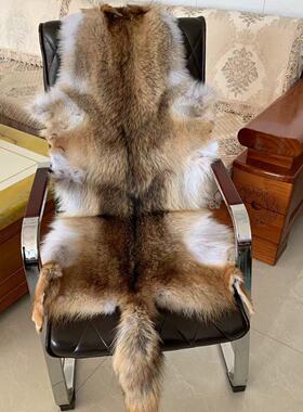 超保暖整张兽皮坐垫北美进口大号郊狼装饰品床边毯家居摆件飘窗垫