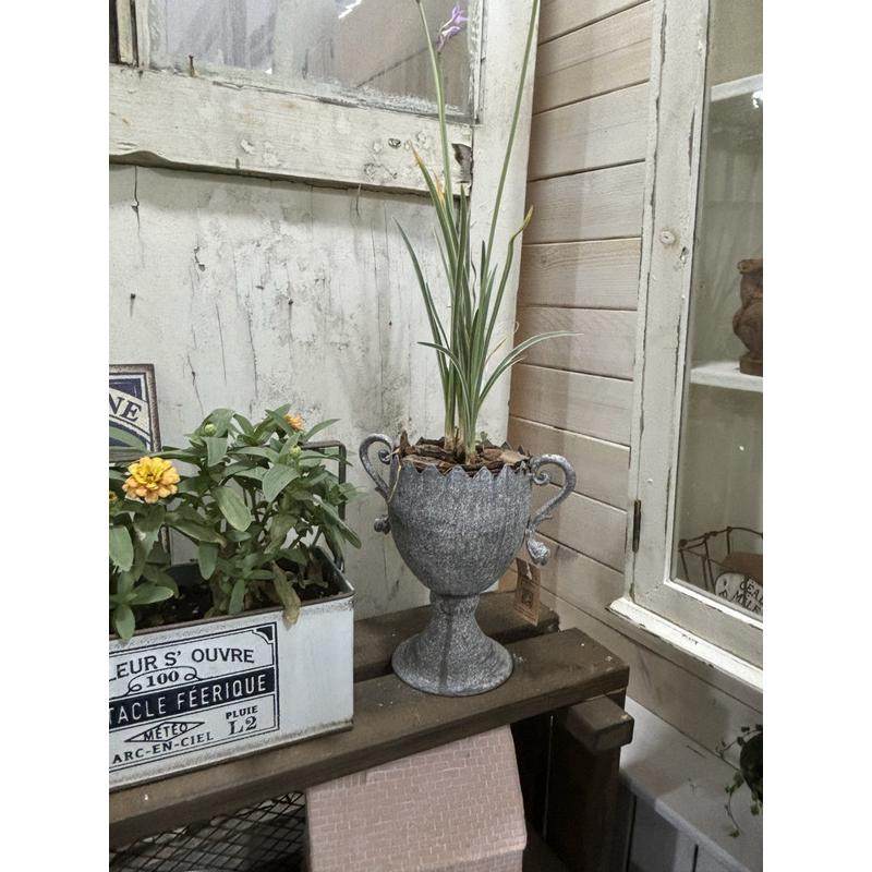 爱上花园 园艺杂货 花园做旧装饰做旧花盆铁皮双耳恐龙壳奖杯,鲜花速递/花卉仿真/绿植园艺,其它园艺用品,淘宝优惠券,粉丝福利购,淘宝优惠卷