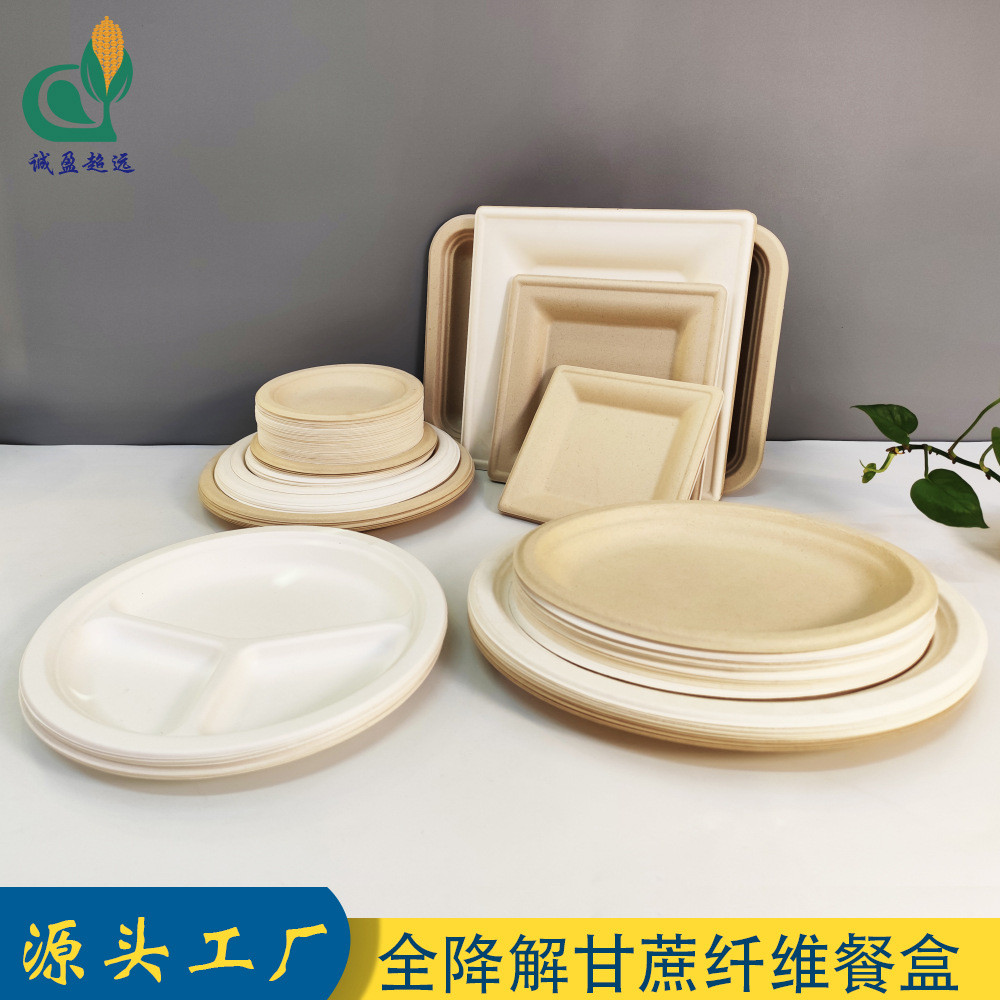 一次性盘子烧烤盘31cm加厚甘蔗渣特大号餐具圆盘方形可降解菜碟