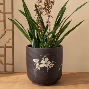 高端兰花专用盆大号君子兰兰花花盆轻奢高级感复古紫砂花盆陶瓷