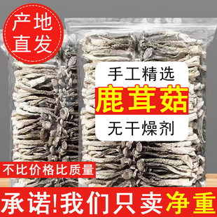 现货新货精选鹿茸菇干货净重500g非特级无沙鹿茸菌商用脆脆菇煲汤