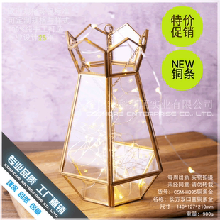 悬挂铁艺花盆led灯罩北欧简约吊兰植物盆栽装饰轻奢个性创意花器