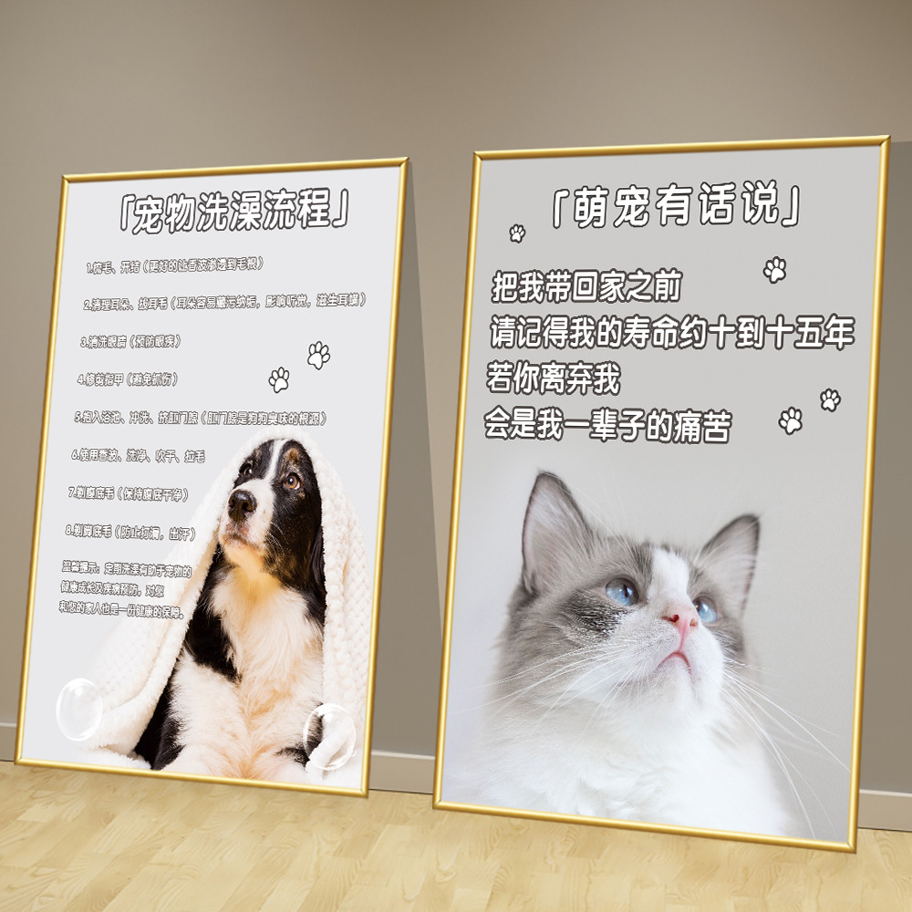 宠物医院猫狗知识科普室内装饰贴画海报背胶墙贴喷绘单幅挂画kt板图片