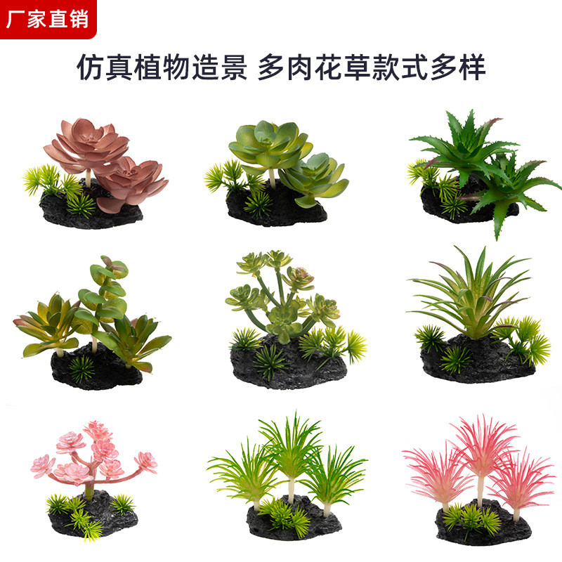 仿真多肉植物空气草绿植鱼缸造景凤梨摆件爬宠布景室内装饰工厂