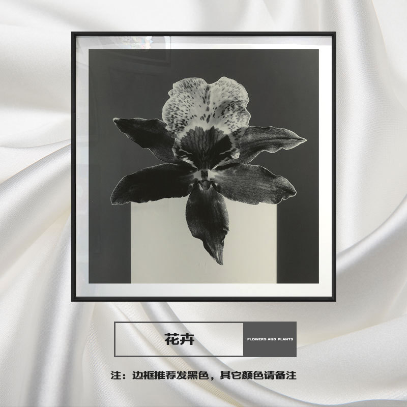 黑白植物花卉客厅小众创意工业风装饰画茶室酒店挂画插画玄关版画图片