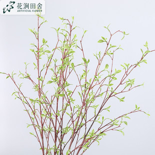 仿真植物 小叶芽枝 龙柳枝绿色花艺配材柳芽柳支线条花艺家居装饰